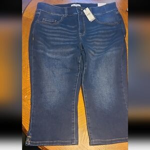 Lane Bryant pedal jeans tighter tummy